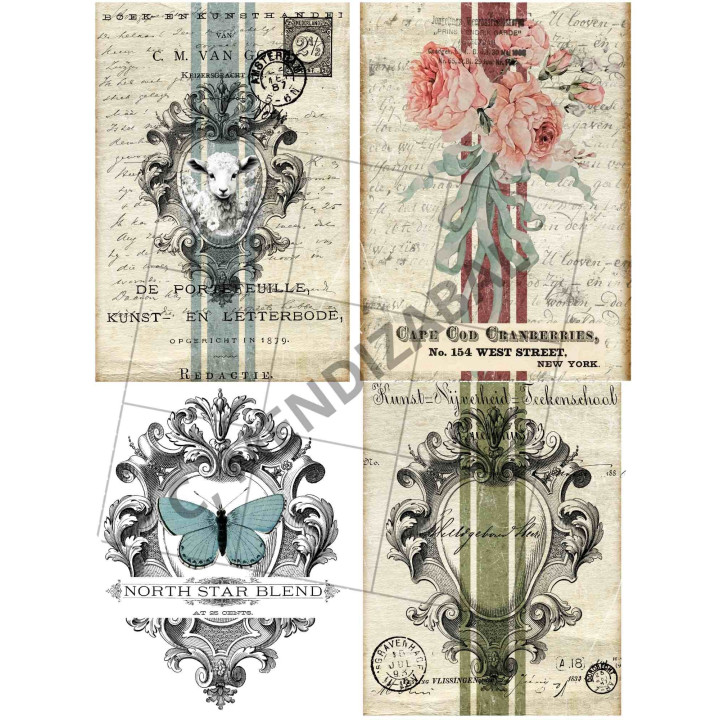 copy of 
